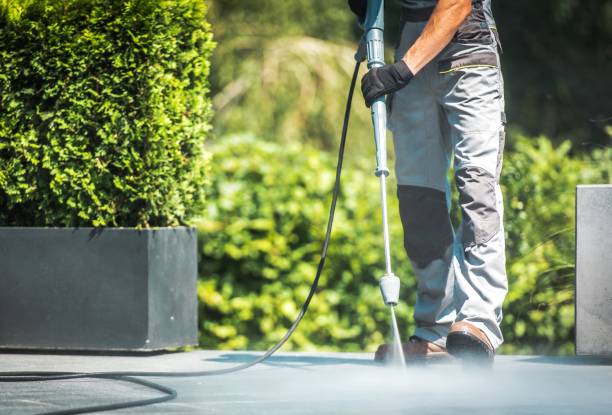 Best Gutter Cleaning  in Buffalo, NY